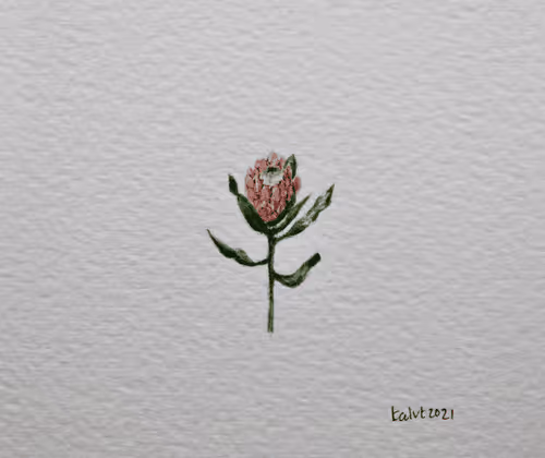 Item #72308987775935400514579281786607572833797681663221616593984230129048410390529 Media