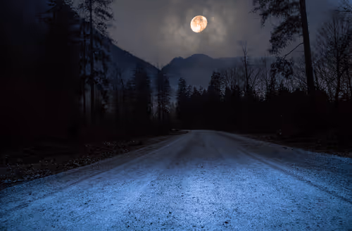 Item #26636344578717920692700769935313843753450649801489178954925375884539163836426 Media