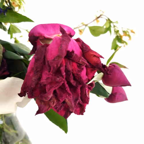 Item #87003207589931118822218281437448867168500866218263883081320957831927335747585 Media