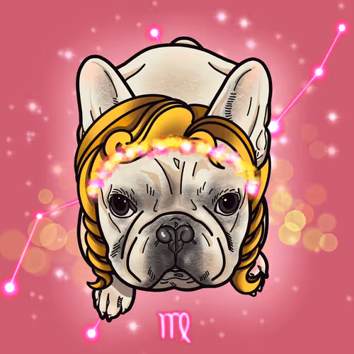 Item #68056669354729290590164091277251327193500280321508296990472693808912454909953 Media