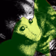 60839276870702459536115980663435026977207856631347422568339333218585639124993