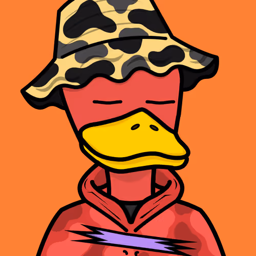 Mr Duck #2794