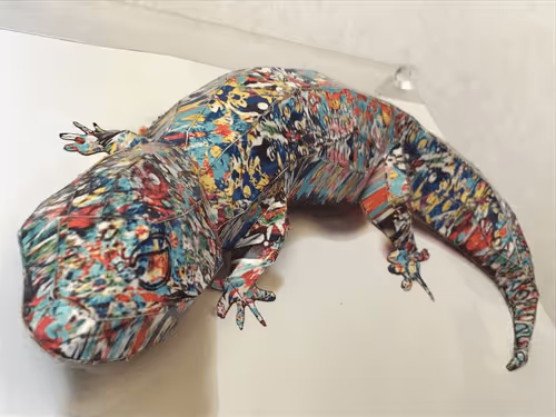 happiness777 Collection