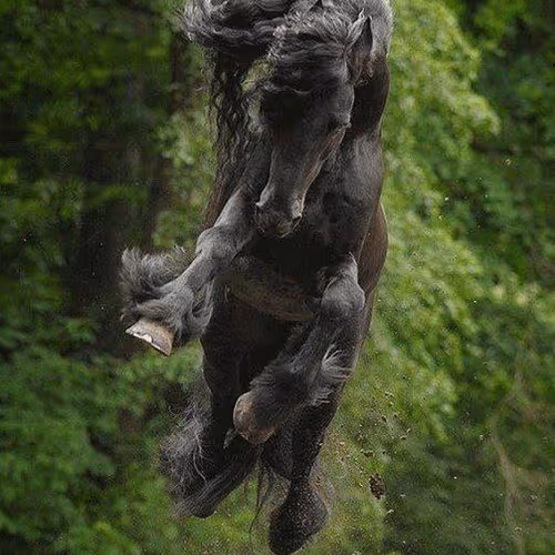 2468119463308914702005443652102614178506533567319377457804557019664128933889