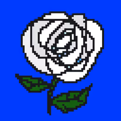 First Rose  #004