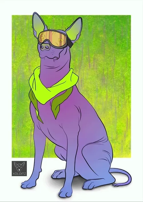 Item #115412186582648874764752321087999128692557907064492986516876109645844311965697 Media