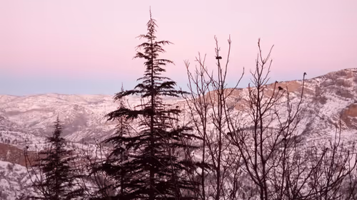 Item #53581876738018030526296833198765097323208142745183468553001527211607944331265 Media