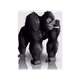 19278936760189342347465832345814591433426095324975447622995248719180031066113