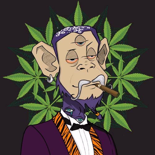 MONKEYHYPE #2540