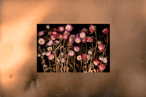 109162157552346088047496633038404394118504199992061596446112929359939082649601