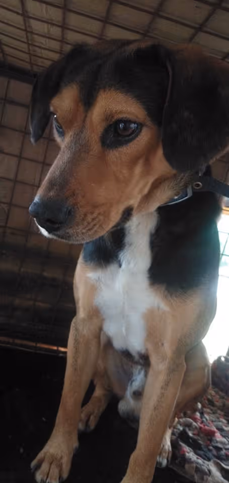 Item #23439807421783349604606688817165201350165750151979961366033252243595897864193 Media