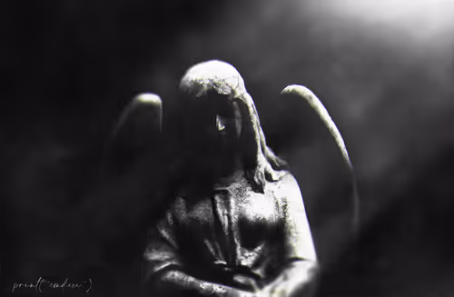 Untitled Collection #87005172