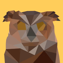 Poly Owl