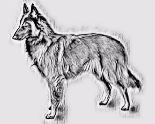 Item #23143313246472061328071561115701105421589606567298838424350448156634150600705 Media