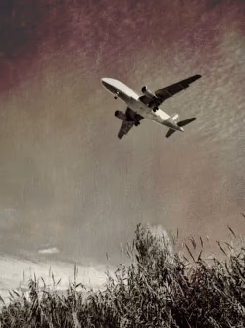 Item #36816001644917254617906175698674191035781868216999975889902342285986635972609 Media