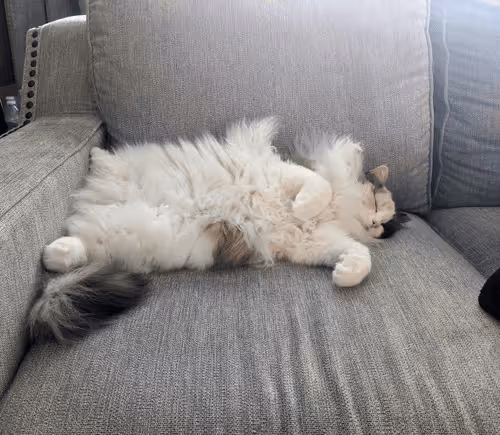 Item #103823190638075684652461829267274249161173063347509023641376403462434079113217 Media