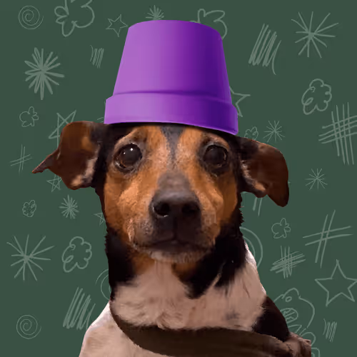 Item #36099553795261404282579238421663119871283840647116495816804462638163935887361 Media