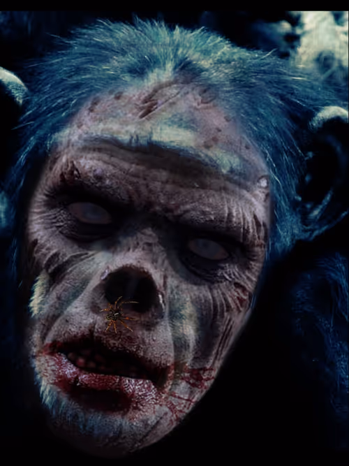 Item #58260198782654195468413891163652142906828885851206301776881640281373753212929 Media