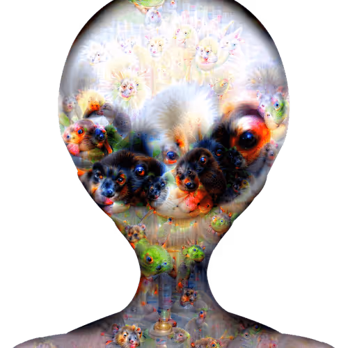 Item #78659460725135531583023670119258347490912039647015248883718852130644030390273 Media