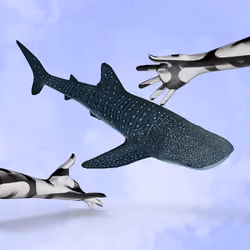 Createing new planet 027  whale shark       large creature in the ocean