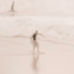 Pinhole movie #2 "Skim"