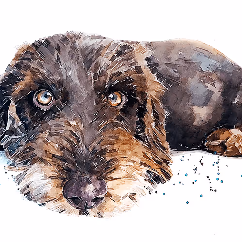 15308155937593783866228062712704217529335676444312394672786838530362949238785