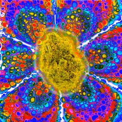 13955282856406335165414100891374623718709547313428947888299034011032392564738