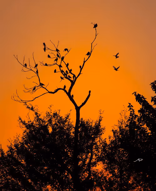 Item #9104047852343460824823657095955061139286762947505329334286274195016682307585 Media