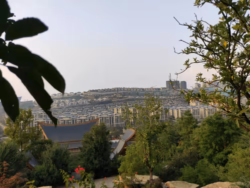 xiaojunsong3 Collection