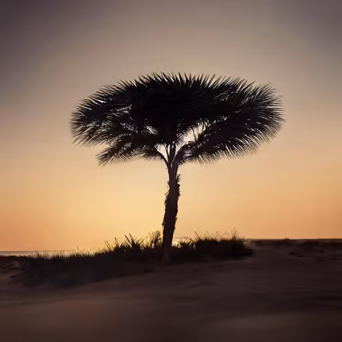 Item #49278240915271456815712260601097831075445063118218076087329826265079805379560 Media