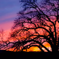 The Perfect Sunset