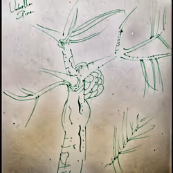 3787080761074609709675817509753112159059746763483256848434353942625477722113