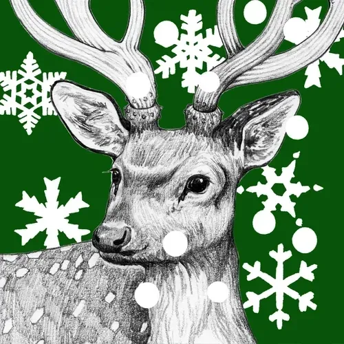 75504568957216009271532412225991883014141589967078103544589205099989539225601