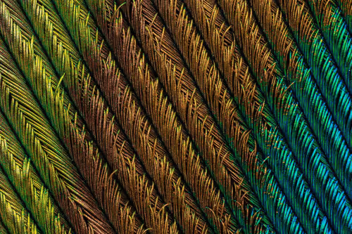 Item #23217486054753313313832658435722255441588252076400940924868810800027305771009 Media