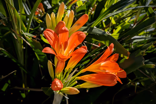 Item #39075669952795110311488058078452160275975432518977374571902800601422600601601 Media