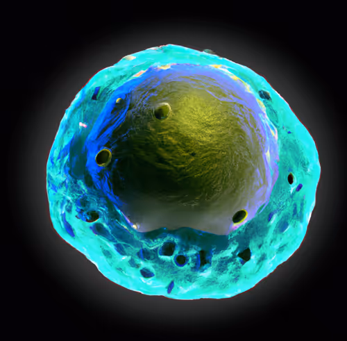 Item #15900858524274065462397165605509062893973264951757804275935713244457241411585 Media