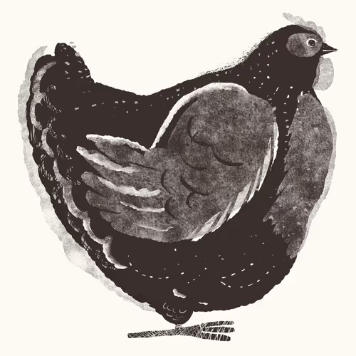 Item #85958577837238121956904946146282691386583578196809181446220191441507038789633 Media