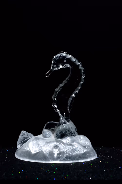 Item #47344123980109973813634142770242239438764360713225161879961011983554971697153 Media