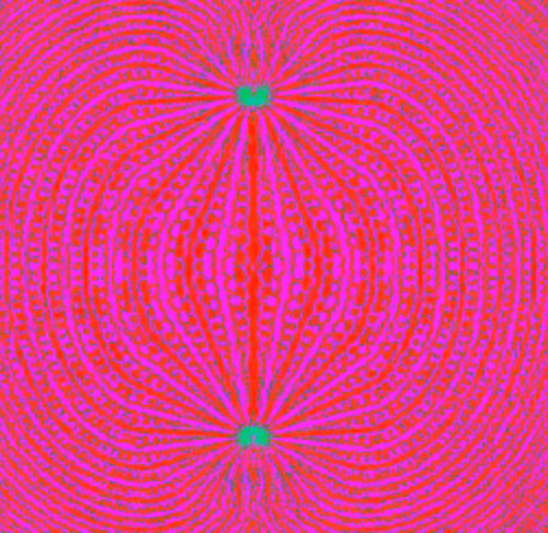 Item #78694637638264839744895931216751922986004356527170849749082284079312923525121 Media