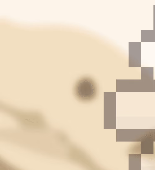 Item #80198388900932359539357183567537029998157098219836163386623981936683624955905 Media