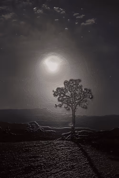 Item #52655132106615007427639537052126499358755561016261279021780266140713915252737 Media