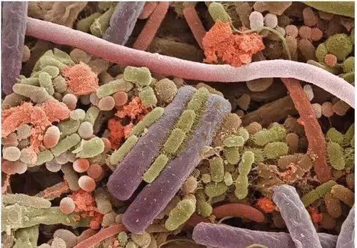 Item #94269245491509990734465210167466884321016156327322156678976395963602969821194 Media