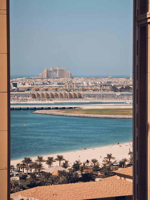 Item #112667008341302243302689137385956133130618064470449479276921417617271464919041 Media