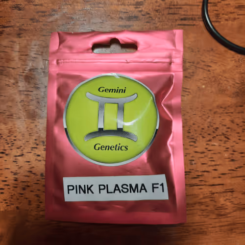 Untitled Collection #270780902