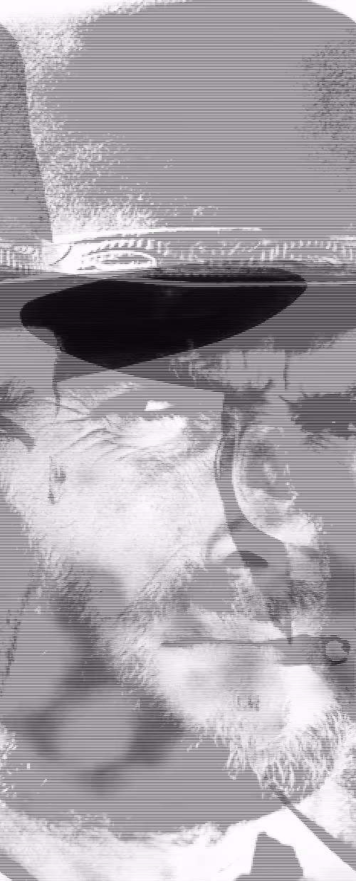 Item #59947535170771986537365865362573967459057735870613280729086654134186516938753 Media