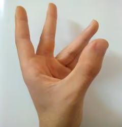 fingertip223