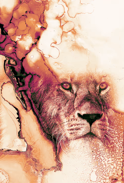 Item #62932370987259654146836953103077963646438991634768916537201216261486087766017 Media