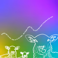 The Bored Sheep Herd - Elon Musk Got No Chill #01