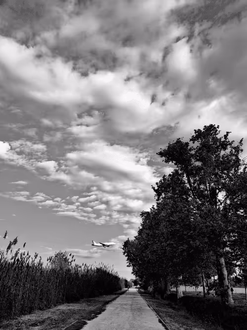 Item #36816001644917254617906175698674191035781868216999975889902342325569054572545 Media