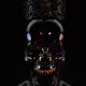 83193189816326317168248795584563721862945405650651256677672435535210489053199